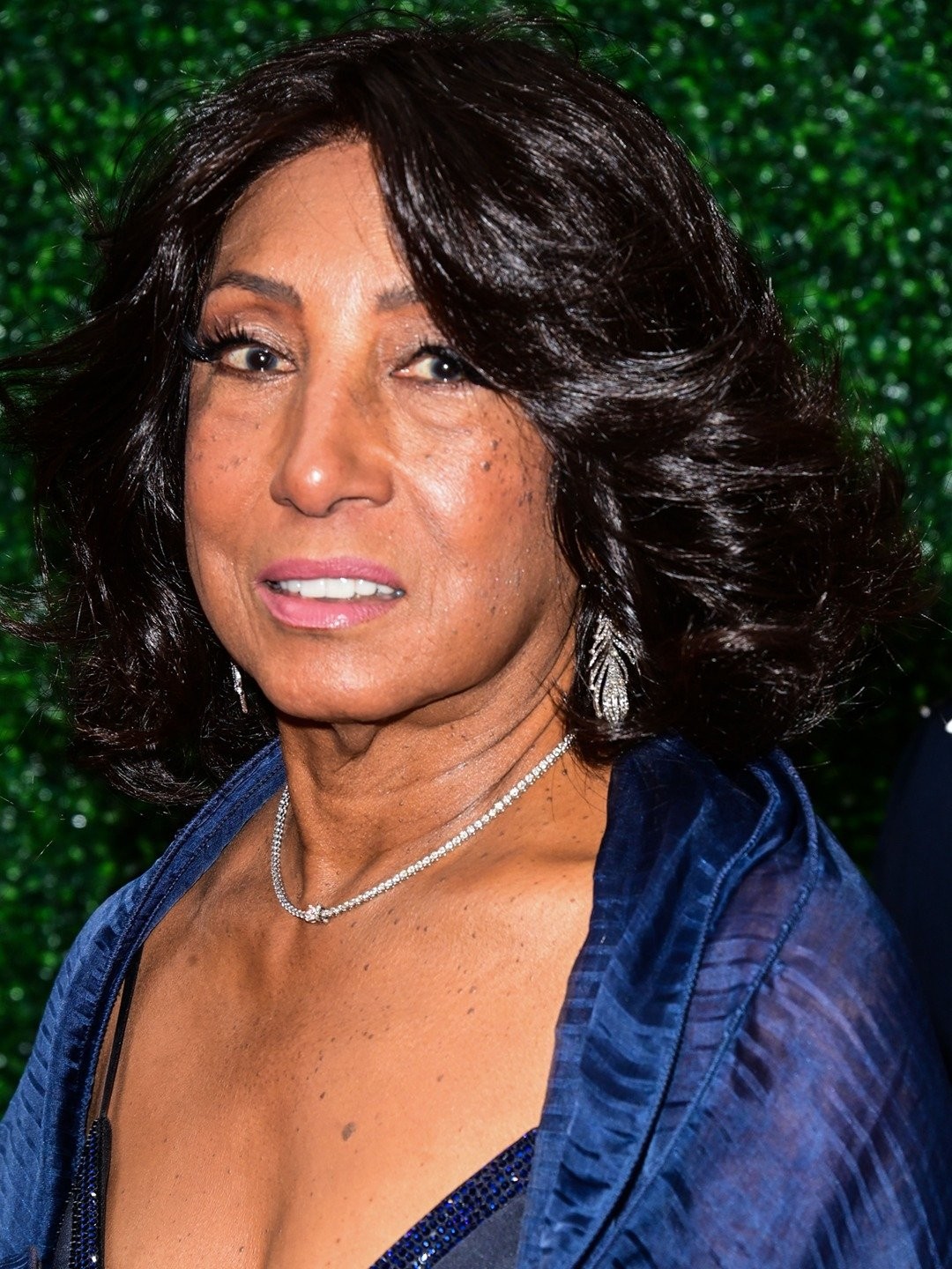 carolyn folks net worth 1 carolyn folks net worth